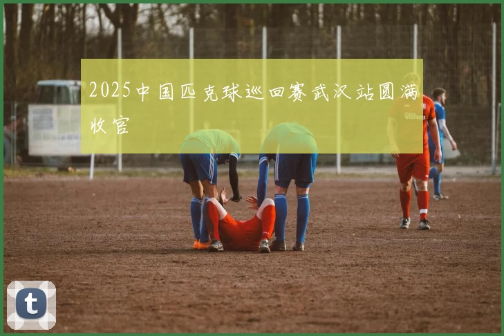 2025中国匹克球巡回赛武汉站圆满收官