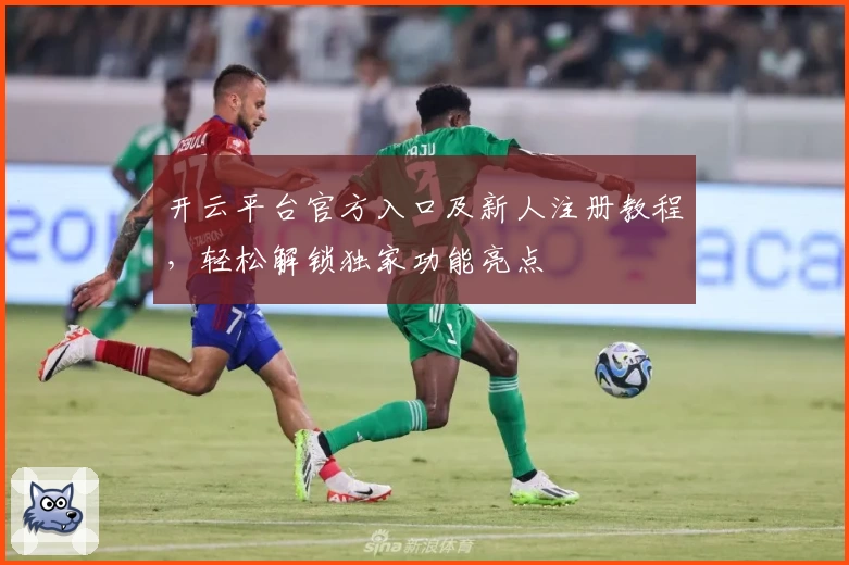开云平台官方入口及新人注册教程，轻松解锁独家功能亮点