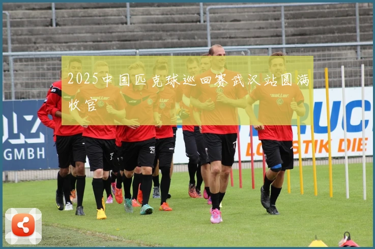 2025中国匹克球巡回赛武汉站圆满收官